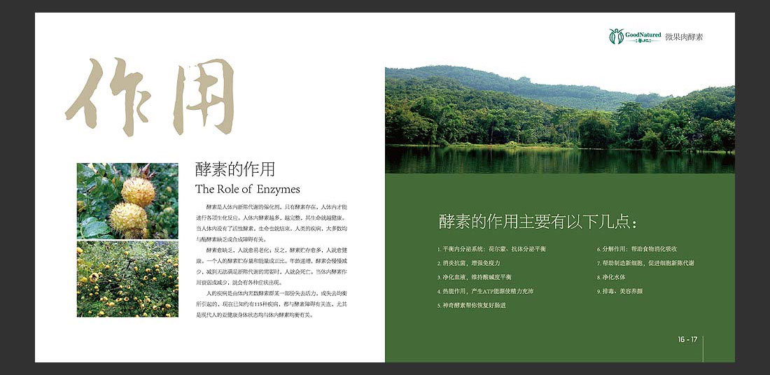 善地生物科技宣傳冊(cè)_酵素飲料產(chǎn)品冊(cè)-13